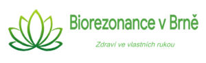 lotos logo text zeleny